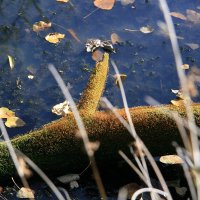 1291570978_im tuempel